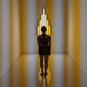 Meet your Posher, Alli